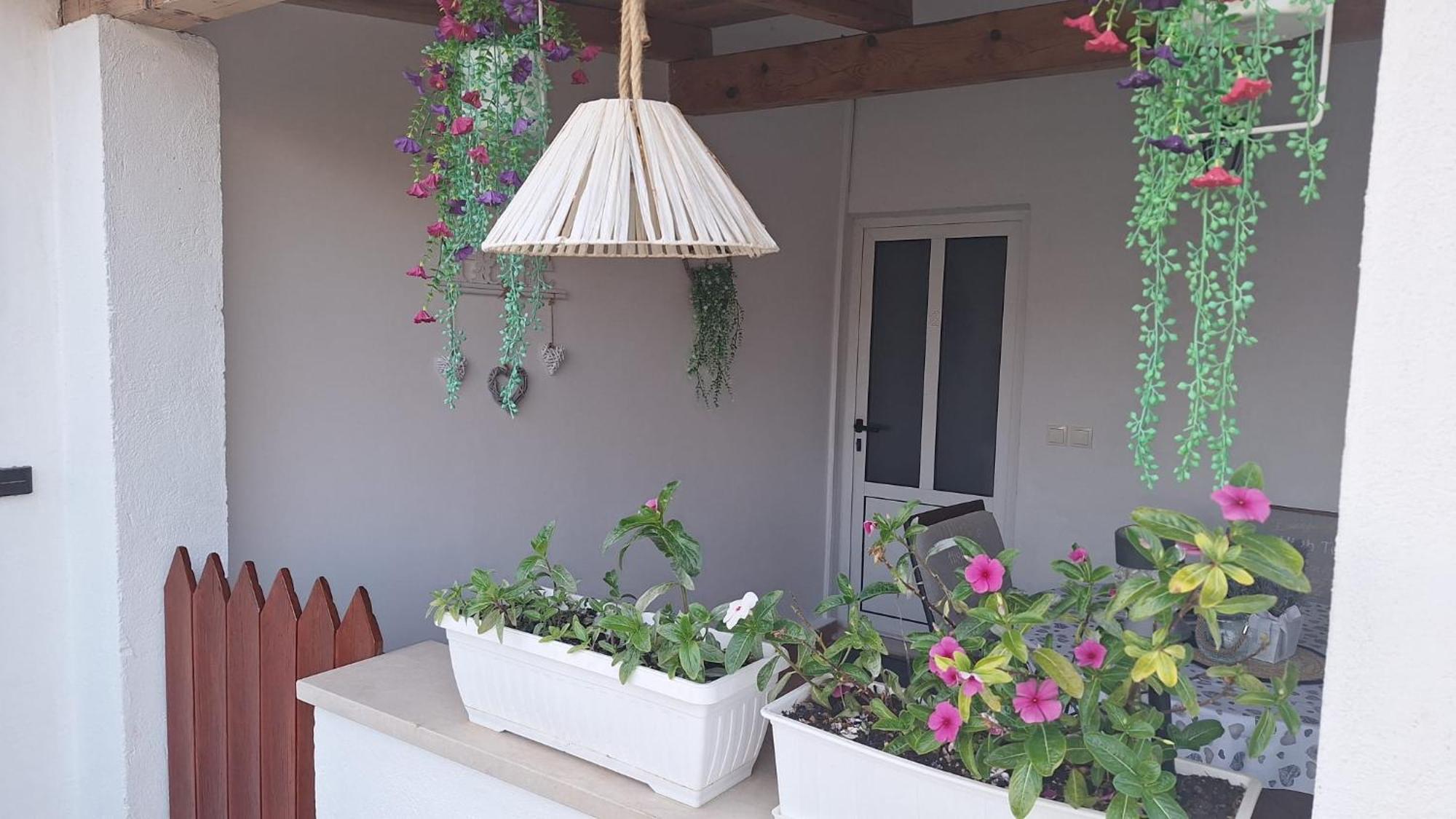 Appartement Teo 2 *